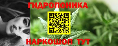 дживик Ставрополь