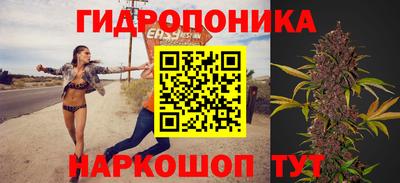 дживик Ставрополь