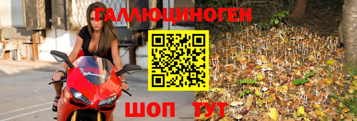 Галлюциногенные грибы Magic Shrooms Новоуральск