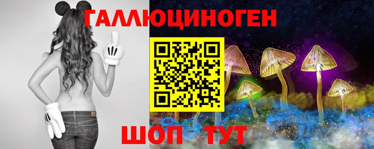 Псилоцибиновые грибы мицелий  Вход с VPN  Псилоцибиновые грибы Psilocybe  купить закладку  Новоуральск 